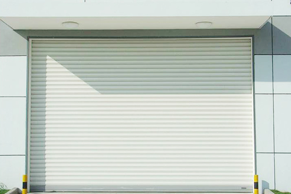 �����ž�����